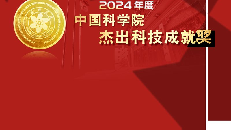 机器学习平台应用标准规范：构建高效AI解决方案的关键